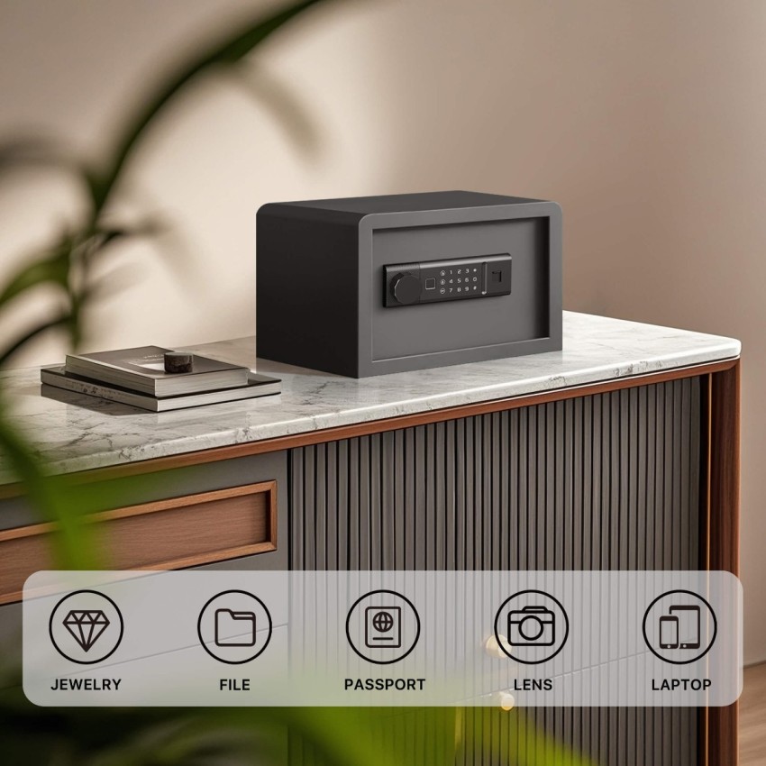 Biometric Home Safe with Fingerprint Digital Lock for Cash & Jewelry, 0.3 Cubic Feet, RPNB RP20FSA