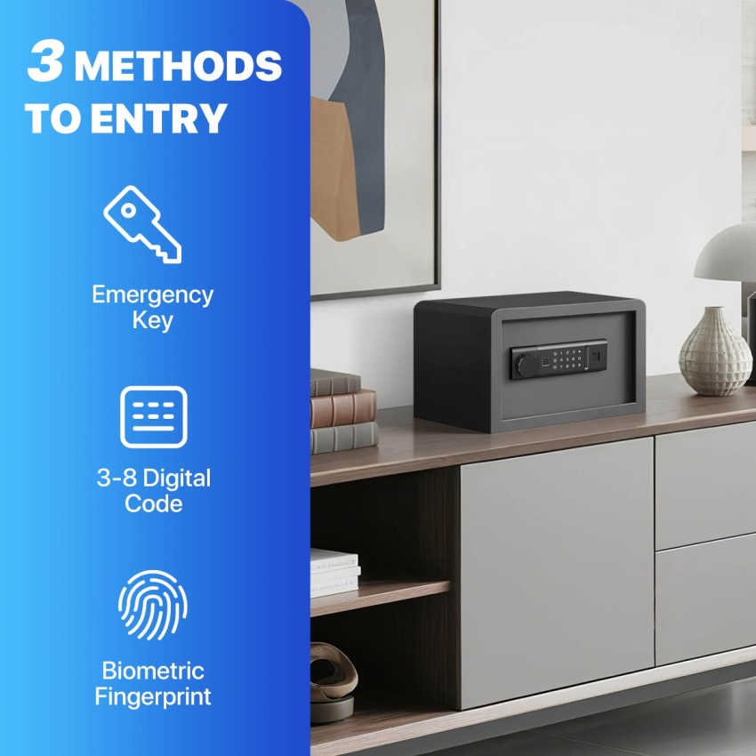 Biometric Home Safe with Fingerprint Digital Lock for Cash & Jewelry, 0.3 Cubic Feet, RPNB RP20FSA