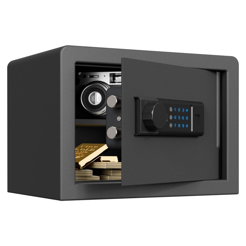 Biometric Home Safe with Fingerprint Digital Lock for Cash & Jewelry, 0.5 Cubic Feet, RPNB RP25FSA