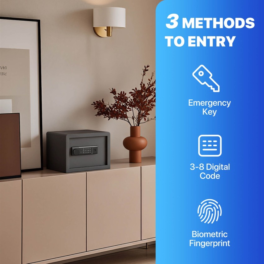 Biometric Home Safe with Fingerprint Digital Lock for Cash & Jewelry, 0.5 Cubic Feet, RPNB RP25FSA